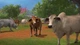 Дополнение Farming Simulator 17 - Platinium Expansion для ПК (Ключ активации Steam) - изображение 4