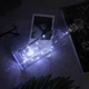 Світлодіодна гірлянда нитка (пробка/корок) - 10 led 1м (білий) - зображення 1