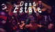 Игра Dead Estate для ПК (Ключ активации Steam) - изображение 1
