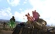 Дополнение Arma 3 Marksmen для ПК (Ключ активации Steam) - изображение 3