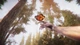 Игра The Forest Cathedral для ПК (Ключ активации Steam) - изображение 5