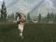 Игра Arma Gold Edition для ПК (Ключ активации Steam) - изображение 6