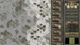 Дополнение Panzer Corps: Allied Corps для ПК (Ключ активации Steam) - изображение 6
