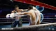 Игра Creed: Rise to Glory для ПК (Ключ активации Steam) - изображение 5