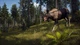 Игра Way of the Hunter Elite Edition для ПК (Ключ активации Steam) - изображение 4