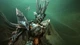 Дополнение Destiny 2: The Witch Queen Deluxe + Bungie 30th Anniversary Bundle для ПК (Ключ активации Steam) - изображение 2