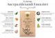 Скраб банный "Австралийский эвкалипт" - изображение 2