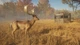 Дополнение TheHunter: Call of the Wild - Tents & Ground Blinds для ПК (Ключ активации Steam) - изображение 3