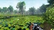 Игра The Fisherman Fishing Planet для ПК (Ключ активации Steam) - изображение 3