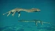 Дополнение Jurassic World Evolution 2: Late Cretaceous Pack для ПК (Ключ активации Steam) - изображение 4