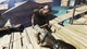 Игра Dead Island: Riptide Definitive Edition для ПК (Ключ активации Steam) - изображение 3