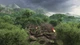 Игра Rising Storm 2: Vietnam Deluxe Edition для ПК (Ключ активации Steam) - изображение 6