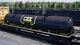 Дополнение Train Sim World: CSX GP40-2 Loco для ПК (Ключ активации Steam) - изображение 3