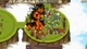 Игра Circle Empires для ПК (Ключ активации Steam) - изображение 4