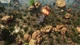 Игра The Riftbreaker для ПК (Ключ активации Steam) - изображение 6