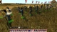 Дополнение Total War: Empire Collection для ПК (Ключ активации Steam) - изображение 6