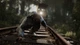 Игра The Vanishing of Ethan Carter для ПК (Ключ активации Steam) - изображение 3