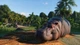 Игра Planet Zoo для ПК (Ключ активации Steam) - изображение 2