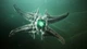 Дополнение Destiny 2: The Witch Queen Deluxe Edition для ПК (Ключ активации Steam) - изображение 4