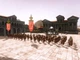 Игра Grand Ages: Rome для ПК (Ключ активации Steam) - изображение 5
