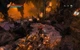 Игра Overlord: Raising Hell для ПК (Ключ активации Steam) - изображение 2