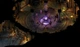 Игра Pillars of Eternity : Champion Edition для ПК (Ключ активации Steam) - изображение 2