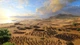Игра A Total War Saga: TROY - Europe для ПК (Ключ активации Epic Games) - изображение 5