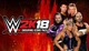 Дополнение WWE 2K18 - Enduring Icons Pack для ПК (Ключ активации Steam) - изображение 1