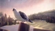 Гра 11-11 Memories Retold для ПК (Ключ активації Steam) - зображення 5