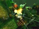 Игра AquaNox для ПК (Ключ активации Steam) - изображение 4
