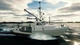 Дополнение Fishing: North Atlantic - A.F. Theriault для ПК (Ключ активации Steam) - изображение 4