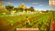 Игра Harvest Days: My Dream Farm для ПК (Ключ активации Steam) - изображение 2