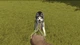 Дополнение House Flipper - Pets для ПК (Ключ активации Steam) - изображение 4