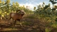 Дополнение TheHunter: Call of the Wild - Cuatro Colinas Game Reserve - Europe для ПК (Ключ активации Steam) - изображение 5