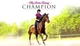 Игра My Little Riding Champion для ПК (Ключ активации Steam) - изображение 1