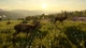 Дополнение TheHunter: Call of the Wild - Cuatro Colinas Game Reserve - Europe для ПК (Ключ активации Steam) - изображение 6