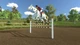 Игра My Little Riding Champion для ПК (Ключ активации Steam) - изображение 2