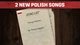 Дополнение Hearts of Iron IV: Eastern Front Music Pack - Europe для ПК (Ключ активации Steam) - изображение 6