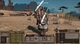 Игра Kenshi для ПК (Ключ активации Steam) - изображение 4