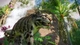 Доповнення Planet Zoo: набор животных Юго-Восточной Азии для ПК (Ключ активації Steam) - зображення 3
