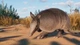 Дополнение Planet Zoo: Набор животных «Луга» для ПК (Ключ активации Steam) - изображение 5