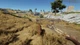 Гра Die Young для ПК (Ключ активації Steam) - зображення 4
