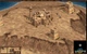 Игра Cossacks and American Conquest Pack для ПК (Ключ активации Steam) - изображение 3