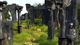 Игра SpellForce Complete для ПК (Ключ активации Steam) - изображение 4