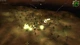 Гра World War III: Black Gold для ПК (Ключ активації Steam) - зображення 3