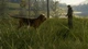 Доповнення TheHunter: Call of the Wild - Bloodhound - Europe для ПК (Ключ активації Steam) - зображення 4