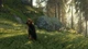Доповнення TheHunter: Call of the Wild - Bloodhound - Europe для ПК (Ключ активації Steam) - зображення 5