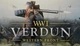 Игра Verdun для ПК (Ключ активации Steam) - изображение 1