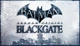 Игра Batman: Arkham Origins Blackgate для ПК (Ключ активации Steam) - изображение 1