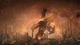 Игра Battlefleet Gothic: Armada 2 для ПК (Ключ активации Steam) - изображение 2